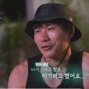 필립스(백합) 이미지