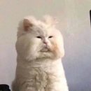 타타대우서산서비스 | 서산 찍먹 내포 쳐먹