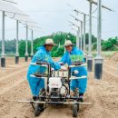 영광시스템 태양광발전소 이미지