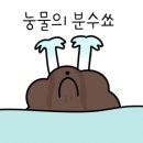 강원도엄나무닭강정