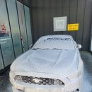 워시존 반정 이미지