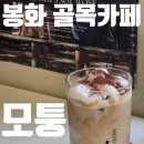 카페 모퉁이 | 모퉁 : 봉화군 골목길 모퉁이 작은 카페(내돈내산 솔직후기)