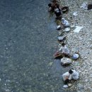 우리들의빨래터 이미지