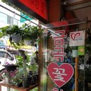 금곡꽃화원