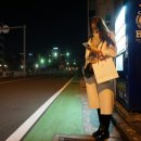 미스터스시강 이미지