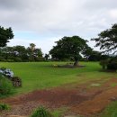 쉬는팡 하우스 | 제주도 수국 명소 [카멜리아 힐] 후기 (feat. 흑돼지 맛집 쉬는팡 가든)