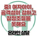 [온라인상담: 중1 여자아이, 공격성이 강하고 감정조절을 못해요] 한국아동청소년심리상담센터 이미지