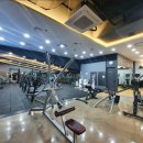 신나라스크린골프 이미지