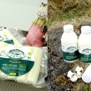 채림목장 이미지