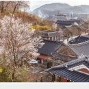 전주 가볼만한곳 경기전 전주 한옥마을 여행 이미지