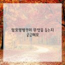 다정한요양병원 이미지