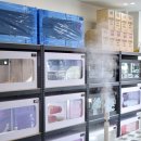 유나펫 | 울산 파충류샵 유나게코에서 크레스티드게코 분양 후기