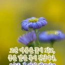 쉼표 이미지
