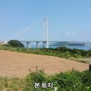 영남 우천리 바닷가앞 토지와 상업적활용 입지의 팔영대교앞 토지 - 각각 평당25만원 이미지