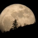 올 추석에 슈퍼문(Super Moon) 구경하기 이미지