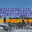 Re: 충남아산공세리성당 이미지