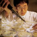 더프리미엄효성(주) 이미지