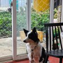 젭우드(JEB우드) | 제부도 JEB 우드 카페 후기 | 작지만 디저트 맛있는 제부도 카페 추천