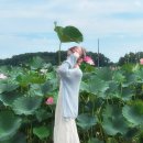 연지1길 이미지