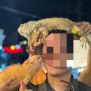 마린인터넷플라자 이미지