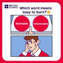 Confusing words alert! 이미지