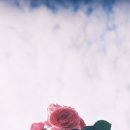 갤러리 스튜디오 현상소 이미지