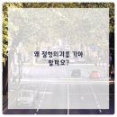 마포공덕튼튼본정형외과의원 네이버블로그