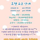 세인트동물병원 네이버블로그