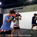 뉴챔프복싱 이미지
