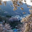 부민산 체육공원 이미지