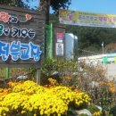 상평초등학교공수전분교장 이미지