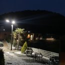 리틀 타이니 하우스 이미지