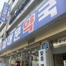 시청엔약국 | 남대문약국 하트가드 강아지 심장사상충약 내돈내산 구매 후기