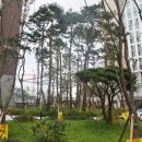 아이비1공인중개사사무소 이미지