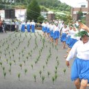 중요 무형문화재 공개 시연 등 제3회 인지리 민속문화체험 축제 개최 이미지