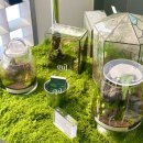 계산역 1번출구 횡단보도(남동쪽) | 연남동 홍대 가좌 식집사들을 위한 곳, 그린스틸 식물 팝업 후기