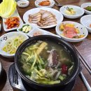 향우백반 이미지