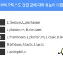 건강식품연구원 이미지