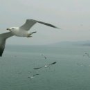 한일모텔 이미지