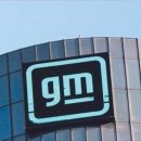 글로벌카모터스 이미지