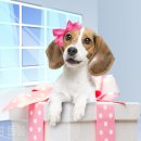 판교중학교 이미지