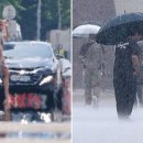 [생활] 2025년 한국 여름 날씨 예측: 폭염과 장마의 가능성 이미지