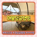 부산 근교 경남 글램핑 아이랑 가기 좋은 합천 머물당 글램핑
