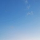 스파리조트 안단테 찜질방 이미지