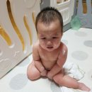 곰소넝쿨젓갈