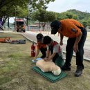 봉화 119안전센터 이미지