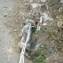 봉산초교(앞) 이미지