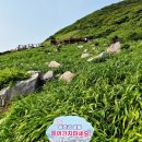 흑산초등학교 홍도분교장 | 홍도 해안탐방로(홍도 분교~해안데크길~원추리 군락지~전망대 ~내연발전소 코스)