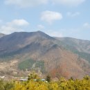 지리산황금농장 이미지