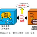 정화축사 이미지